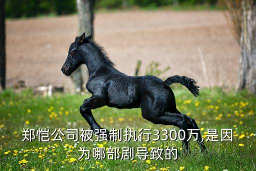 鄭愷公司被強(qiáng)制執(zhí)行3300萬,是因?yàn)槟牟縿?dǎo)致的