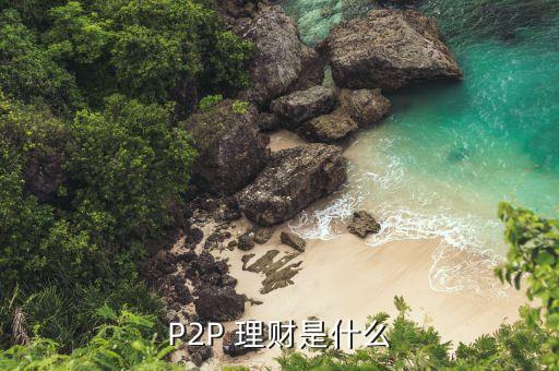 P2P 理財(cái)是什么