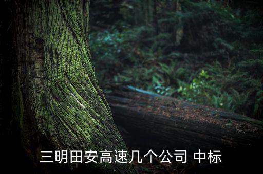 獅山鎮(zhèn)湖水整治工程哪家公司中標