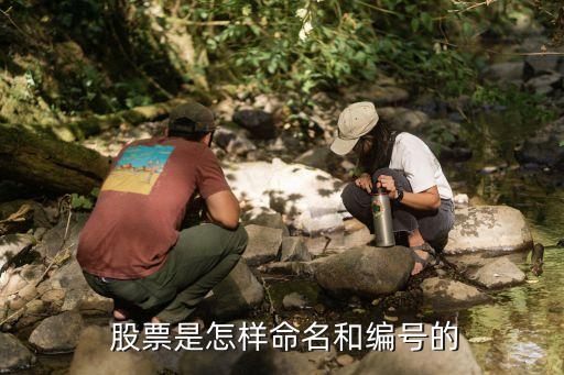  股票是怎樣命名和編號(hào)的