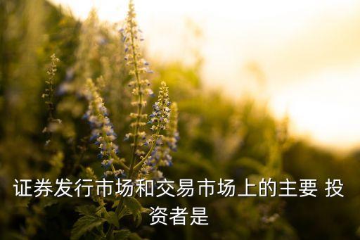 機構(gòu)投資者一定是企業(yè)投資者,當(dāng)投資者尤其是機構(gòu)投資者