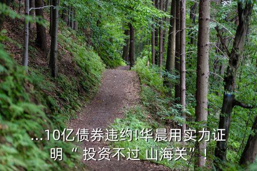 ...10億債券違約!華晨用實(shí)力證明“ 投資不過 山海關(guān)”!