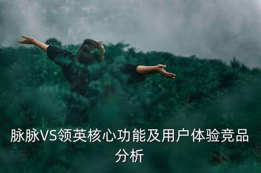 脈脈VS領英核心功能及用戶體驗競品分析