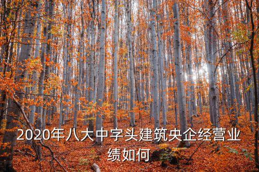 2020年八大中字頭建筑央企經(jīng)營(yíng)業(yè)績(jī)?nèi)绾? class=