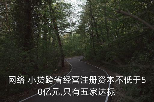 網絡 小貸跨省經營注冊資本不低于50億元,只有五家達標