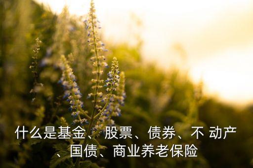 什么是基金、 股票、債券、不 動(dòng)產(chǎn)、國債、商業(yè)養(yǎng)老保險(xiǎn)