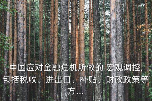 中國應(yīng)對金融危機所做的 宏觀調(diào)控,包括稅收、進出口、補貼、財政政策等方...