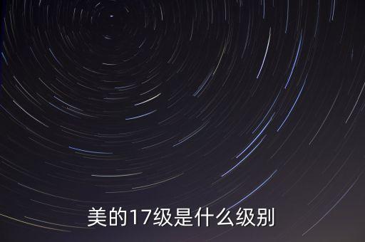 美的17級是什么級別