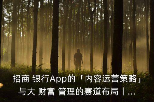 招商 銀行App的「內容運營策略」與大 財富 管理的賽道布局丨...