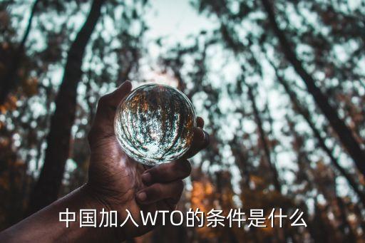 中國(guó)加入WTO的條件是什么