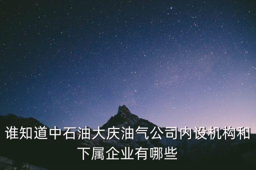 誰知道中石油大慶油氣公司內(nèi)設(shè)機構(gòu)和下屬企業(yè)有哪些