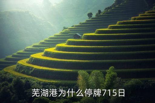 蕪湖飛尚礦業(yè)發(fā)展有限公司,蕪湖紅花山膨潤土礦業(yè)有限公司