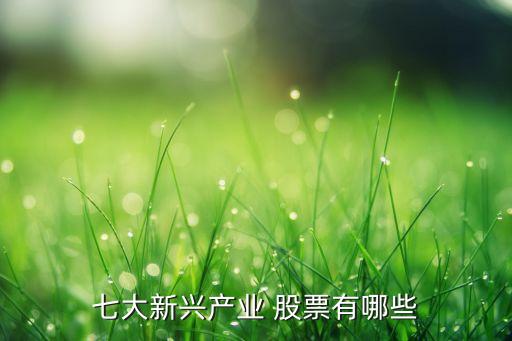 七大新興產(chǎn)業(yè) 股票有哪些