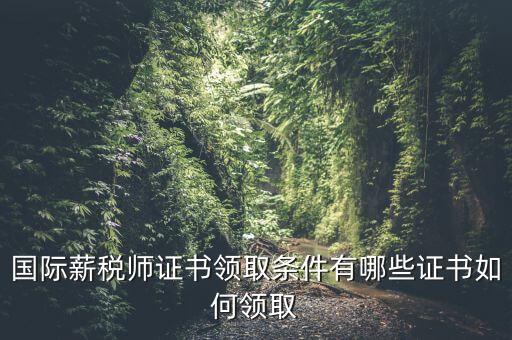 國際薪稅師證書領(lǐng)取條件有哪些證書如何領(lǐng)取