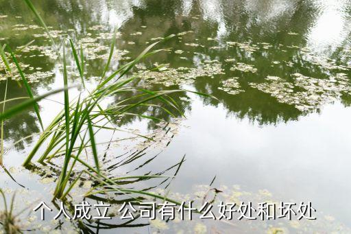 個(gè)人成立 公司有什么好處和壞處