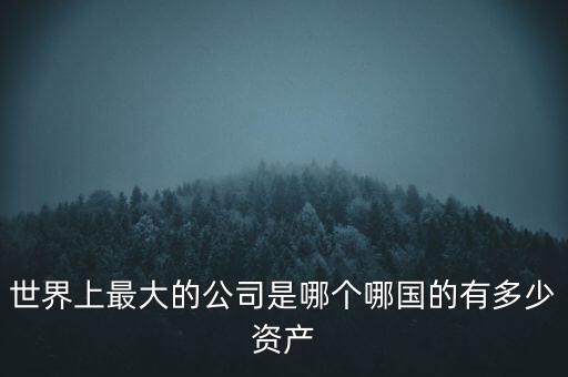 世界上最大的公司是哪個(gè)哪國(guó)的有多少資產(chǎn)