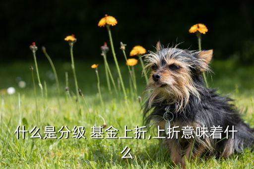 什么是分級(jí) 基金上折,上折意味著什么