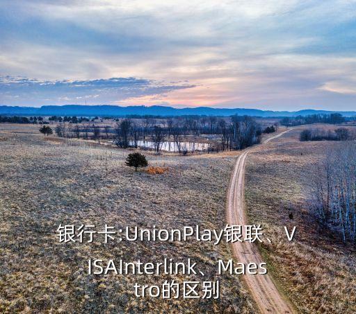 銀行卡:UnionPlay銀聯(lián)、VISAInterlink、Maestro的區(qū)別