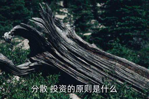 分散 投資的原則是什么