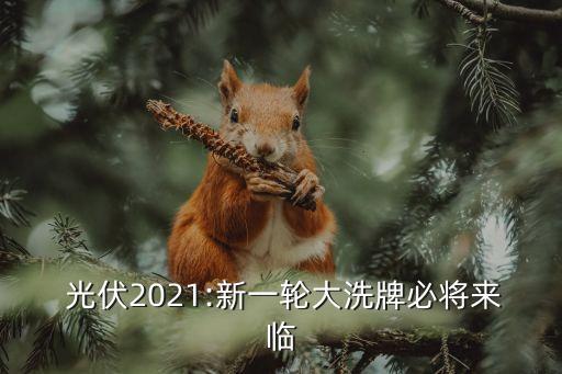  光伏2021:新一輪大洗牌必將來(lái)臨