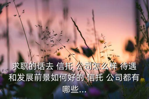 求職的話去 信托 公司怎么樣 待遇和發(fā)展前景如何好的 信托 公司都有哪些...