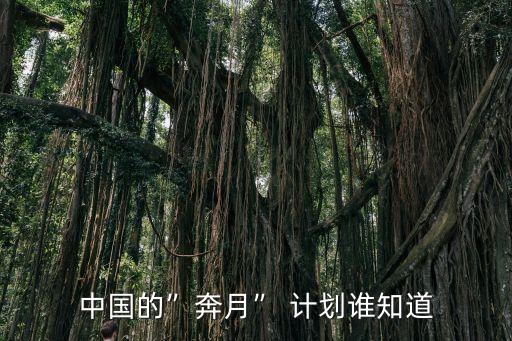 中國的”奔月” 計劃誰知道