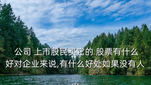  公司 上市股民買它的 股票有什么好對企業(yè)來說,有什么好處如果沒有人...