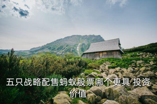 五只戰(zhàn)略配售螞蟻股票哪個(gè)更具 投資價(jià)值