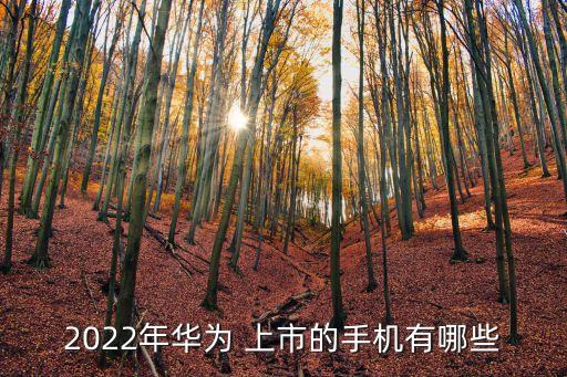 2022年華為 上市的手機有哪些