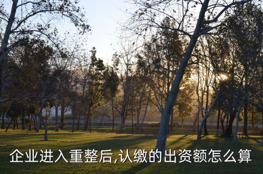 企業(yè)進入重整后,認繳的出資額怎么算