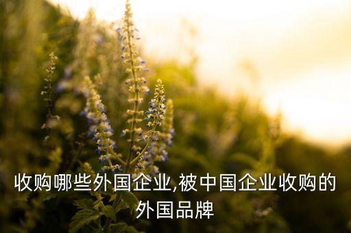 中國收購哪些外國企業(yè),被中國企業(yè)收購的外國品牌