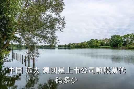 中國 遠(yuǎn)大 集團(tuán)是上市公司嘛股票代碼多少