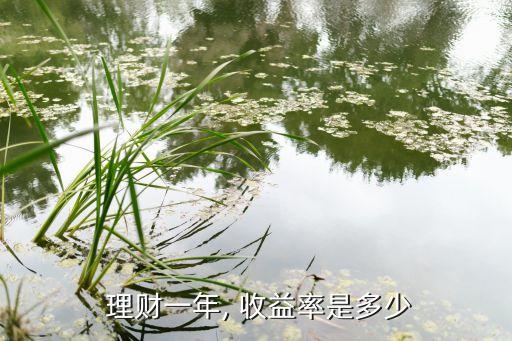 正規(guī)投資理財(cái)收益率,2023投資理財(cái)收益率是多少