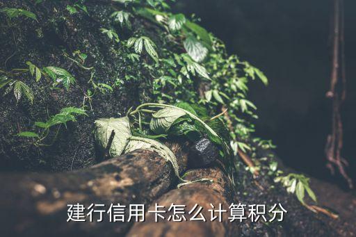 建行信用卡怎么計算積分