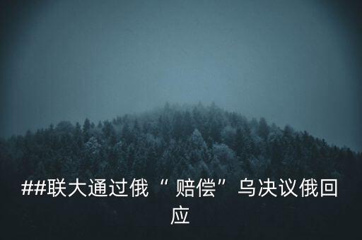 ##聯(lián)大通過俄“ 賠償”烏決議俄回應(yīng)