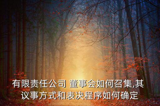 有限責(zé)任公司 董事會(huì)如何召集,其 議事方式和表決程序如何確定