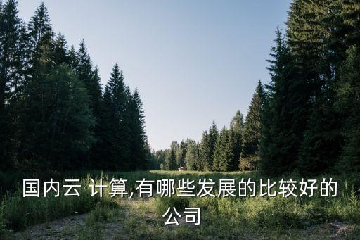 國內(nèi)云 計算,有哪些發(fā)展的比較好的 公司