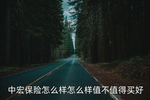  中宏保險(xiǎn)怎么樣怎么樣值不值得買好