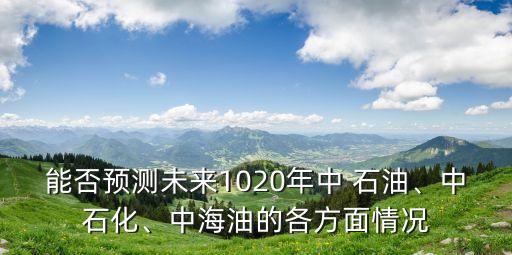 能否預(yù)測(cè)未來1020年中 石油、中石化、中海油的各方面情況