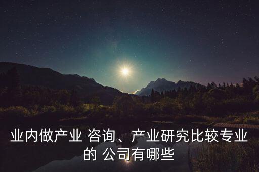 業(yè)內(nèi)做產(chǎn)業(yè) 咨詢、產(chǎn)業(yè)研究比較專業(yè)的 公司有哪些