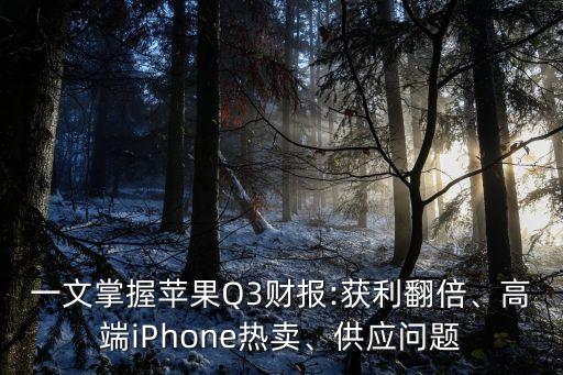 一文掌握蘋果Q3財(cái)報(bào):獲利翻倍、高端iPhone熱賣、供應(yīng)問題