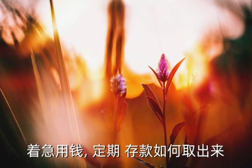 著急用錢, 定期 存款如何取出來