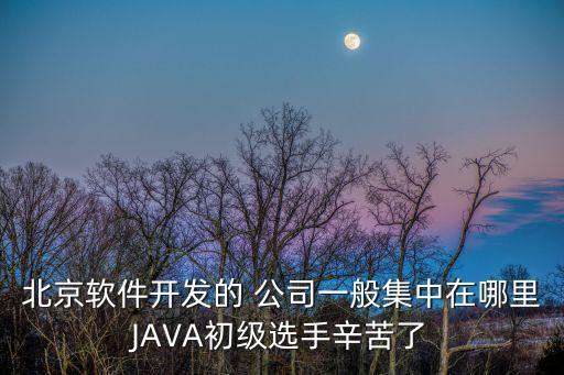 北京軟件開發(fā)的 公司一般集中在哪里JAVA初級選手辛苦了