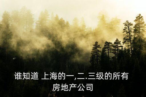 誰(shuí)知道 上海的一,二.三級(jí)的所有 房地產(chǎn)公司