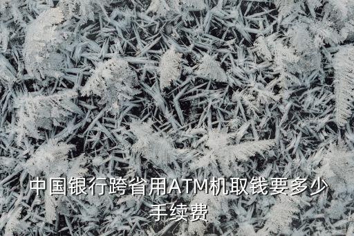 中國銀行借記卡異地取款手續(xù)費