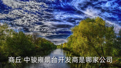 中駿集團(tuán)董事長圖片,上海中駿集團(tuán)董事長