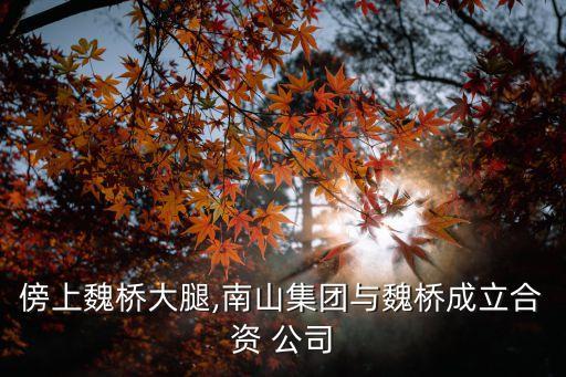 傍上魏橋大腿,南山集團(tuán)與魏橋成立合資 公司