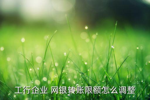 工行企業(yè) 網(wǎng)銀轉(zhuǎn)賬限額怎么調(diào)整