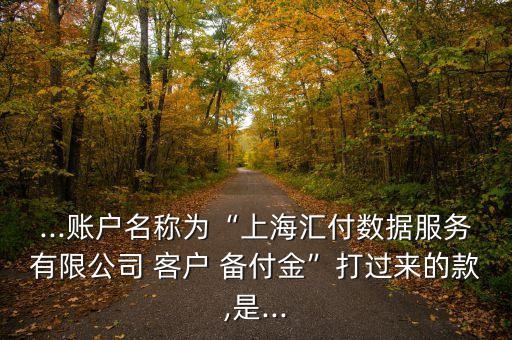 ...賬戶名稱為“上海匯付數(shù)據(jù)服務(wù)有限公司 客戶 備付金”打過來的款,是...