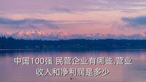 中國100強 民營企業(yè)有哪些,營業(yè)收入和凈利潤是多少